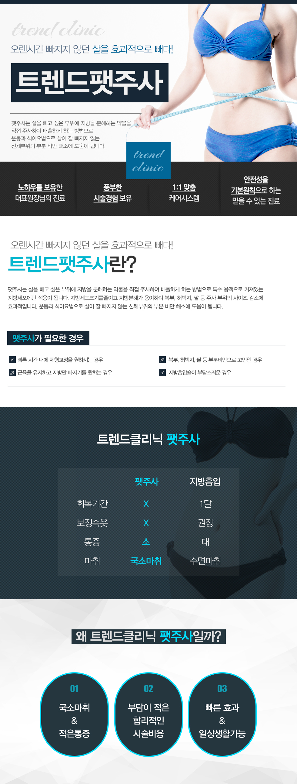 트렌드팻주사